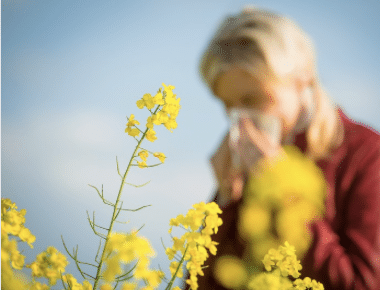 Allergy Triggers: Top Tips to Help Avoid a Reaction