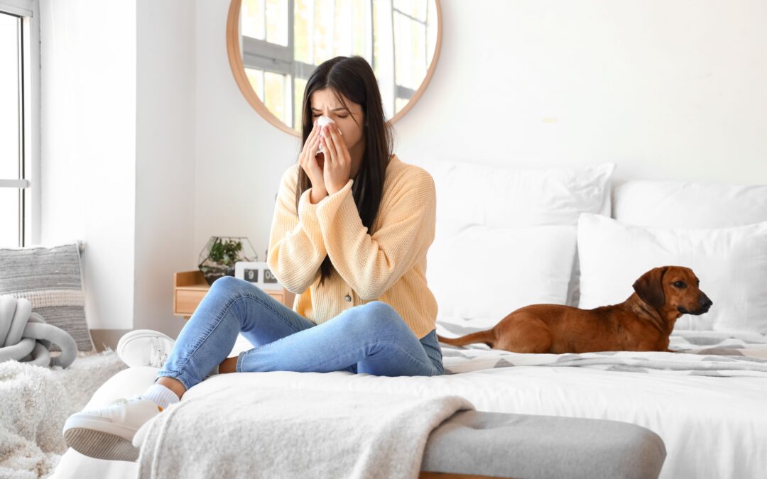 Indoor Allergens: Top 8 Tips to Keep Your Home Allergy-Free!