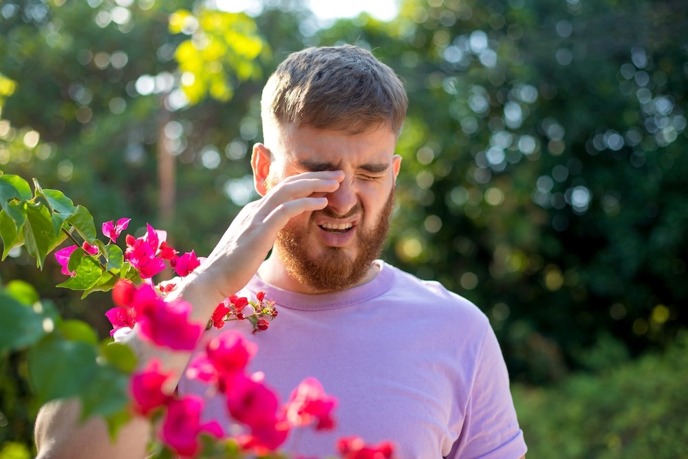 Houston Summer Allergies