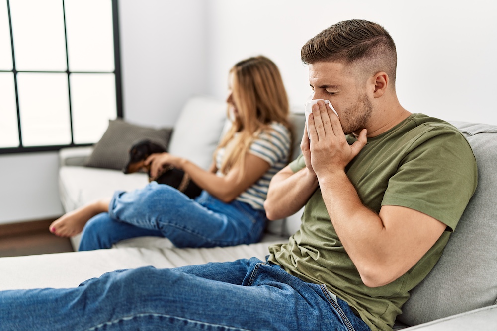Indoor Allergy Triggers