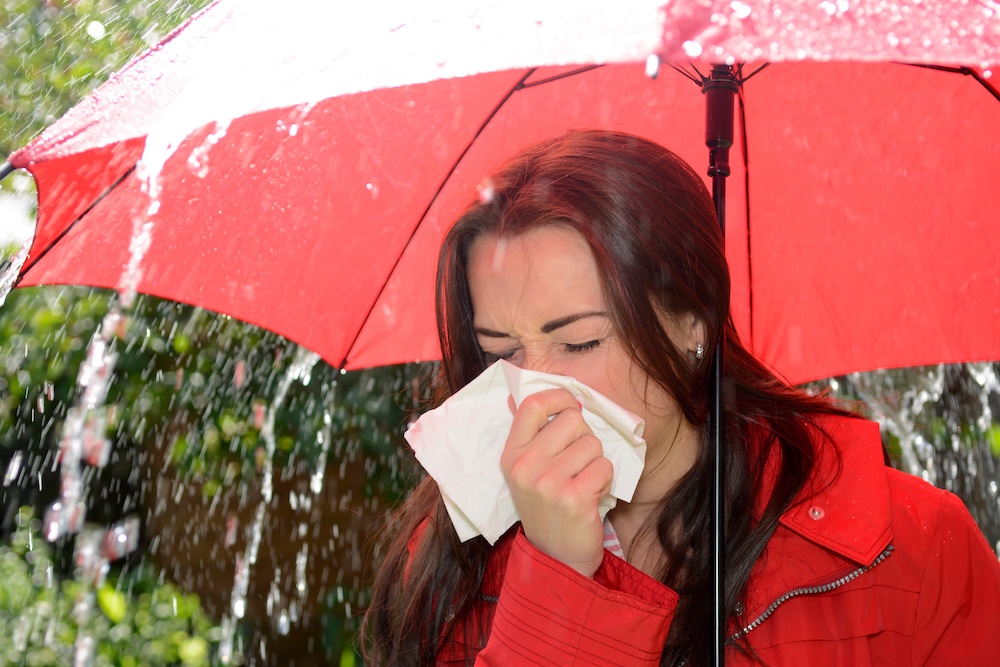 Mold Allergies in Houston