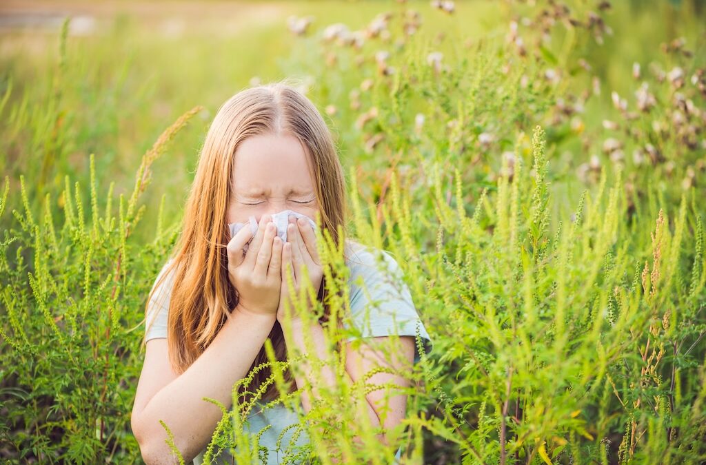 Houston Ragweed Season: Why Your Fall Allergies Are Getting Worse